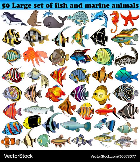 50 big set fish and sea animals isolated Vector Image