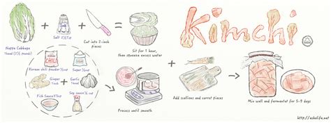 Easy Homemade Korean Kimchi by Echo Fang - They Draw & Cook