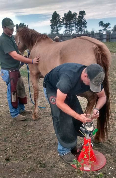 farrier training farrier classes farrier career butler professional