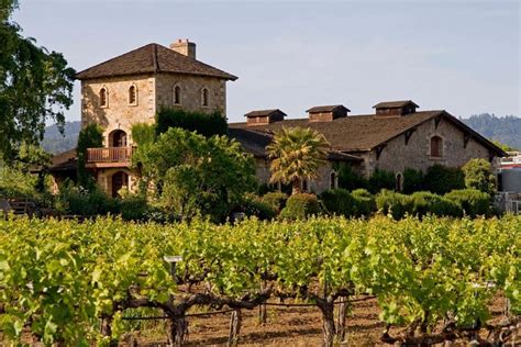 Napa Winery Tour from San Francisco 2024 - Viator