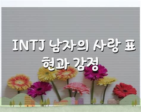 Intj 남자의 사랑 표현과 감정