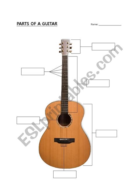 Parts Of A Guitar Esl Worksheet By Bronasp