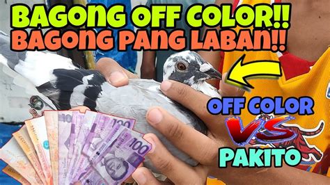 LABAN NG MGA BATANG FANCIER PAKITO VS OFF COLOR KARERA NG