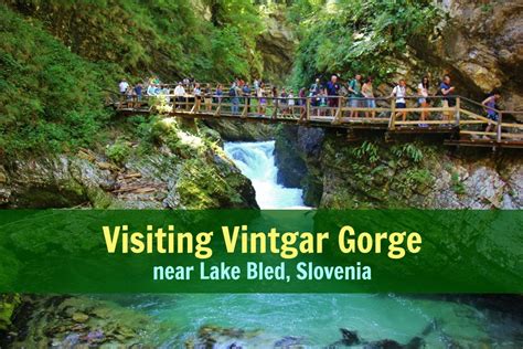 Visiting Vintgar Gorge, Slovenia - Jetsetting Fools