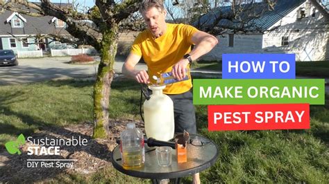 How To Make Diy Organic Pest Spray For Your Fruit Trees Youtube