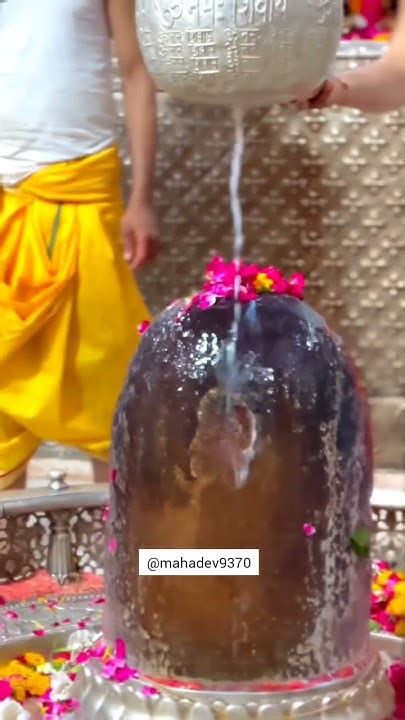 Mahakaleshwar🙏🕉️🔱😘😍🥰♥️💐viralshortsfeedstatustrendingshortslove