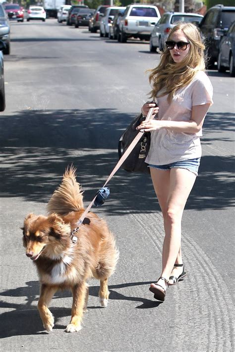 Amanda Seyfried Cleavy And Leggy Wearing Top And Denim Shorts While Walking Her Porn Pictures