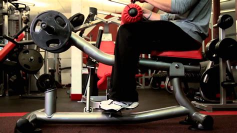 Seated Calf Raise Machine Youtube