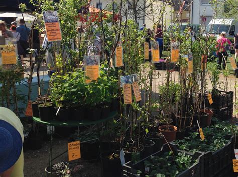 Gartenmarkt Nürnberg Impressionen