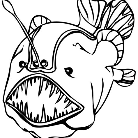 Realistic Fish Drawing | Free download on ClipArtMag