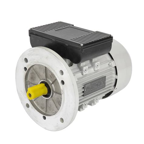 Yl90l 4 Single Phase Dual Capacitor Induction Motors Motor And