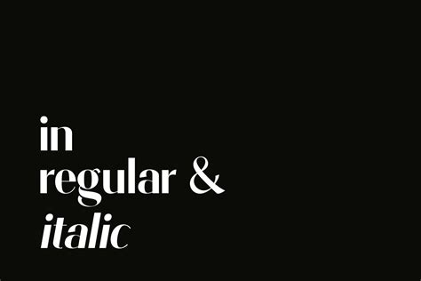 Prague Display Font By Nurrontype Thehungryjpeg