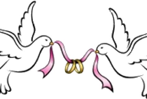 Download Dove Clipart Wedding Wedding Dove Clipart Png Transparent