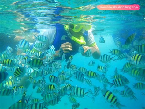 PAKET TOUR PULAU HARAPAN – STAR TRANS BANDUNG