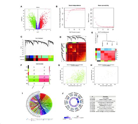 Wgcna Analysis Indicating Escc Subtypes Specific Pathways Gene