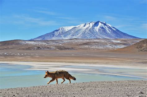 BOLIVIA: SALT FLATS- A Three Day Trip to Mars - There Gosz Tom