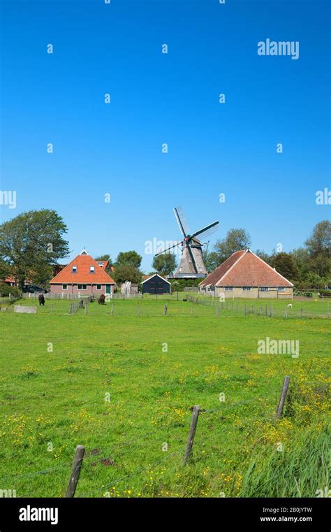 Typical Dutch Landscape With Windmill Stock Photo Alamy