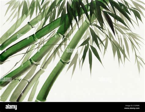 Chinese Bamboo Painting Hi Res Stock Photography And Images Alamy