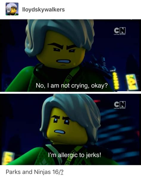 Lloyd Ninjago Memes