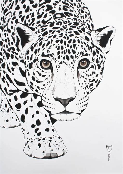 Black and White Leopard Drawing