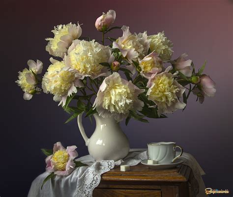 Ароматные пионы. | Фотосайт СуперСнимки.Ру