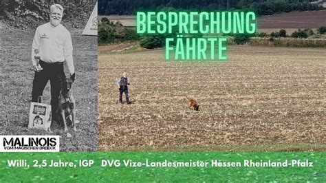 Willi Bei Der IGP Landesmeisterschaft Hessen Rheinland Pfalz 2023