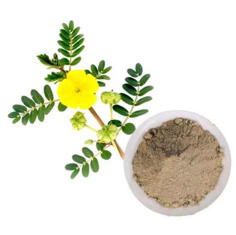 TRIBULUS TERRESTRIS en polvo x 250g Nutrydía Perú