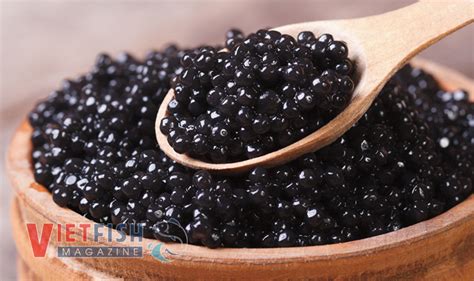 Proposal for tax exemption in importing sturgeon caviar – Vietnam ...