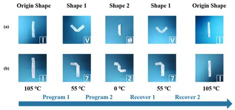 Polymers Free Full Text Trans Polyisoprene Poly Ethylene Co Vinyl