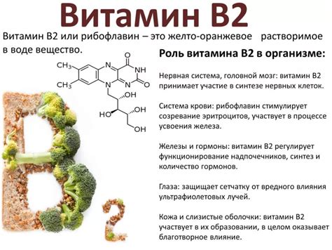 Рибофлавин витамин В2 в продуктах и в таблетках симптомы нехватки