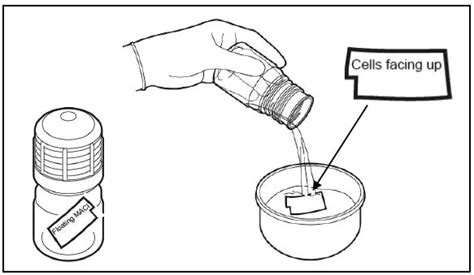 MACI (Autologous Cultured Chondrocytes on Porcine Collagen Membrane ...