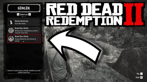 RDR2 SUSAN BAHARAT TOPLAMA GÖREVİ NASIL YAPILIR YouTube