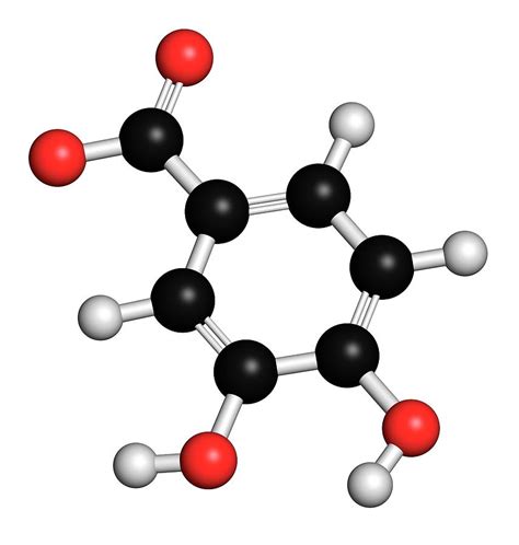 Pca Acid Green Tea Molecule Photograph By Molekuul Science Photo Library