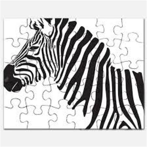 The Zebra Puzzle | Drops Of Time