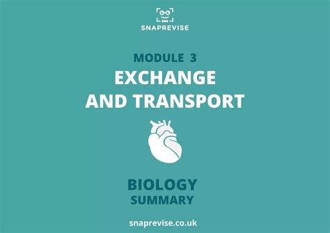 A Level Ocr Biology Past Paper Summary Exchange Transport Module