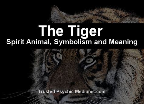 The Tiger Spirit Animal - A Complete Guide to Meaning and Symbolism.