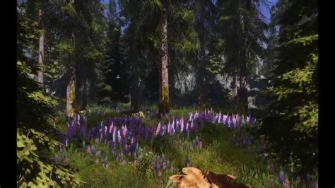 How to install skyrim flora overhaul - garryauthentic