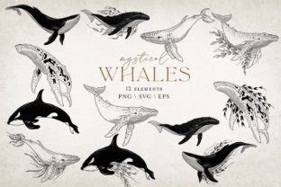 Mystical Whale Files For Cricut Graphic By Digitalart By Prozo