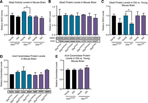 Glucosylsphingosine Promotes α Synuclein Pathology in Mutant GBA