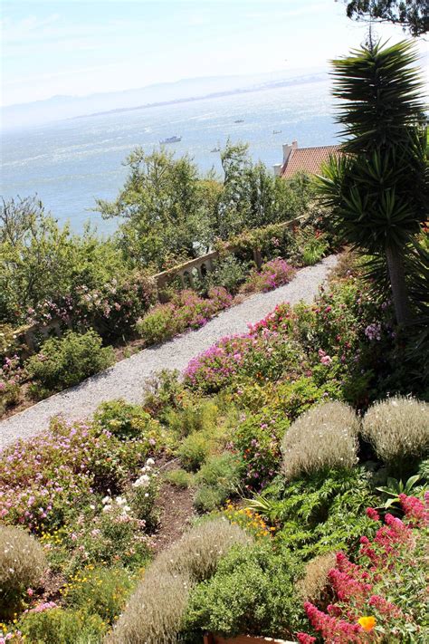 Garden Visit: The Gardens of Alcatraz - Gardenista