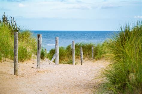 Norden & Meer - Kostenlose Hintergrundbilder Natur | nordischgruen