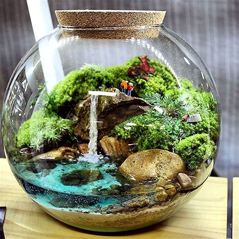 테라리움 In 2020 Terrarium Diy Terrarium Scene Cactus Terrarium