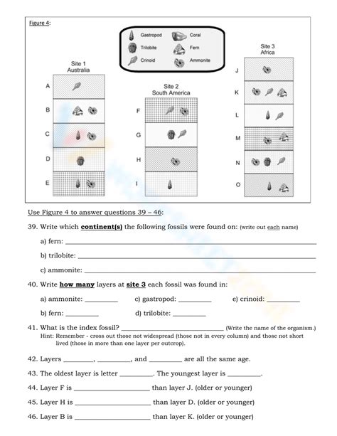 Free Printable Fossils Worksheets For Teaching Learning