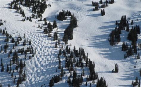 Jasper Ski Resort Guide | Skiing in Jasper | Ski Line