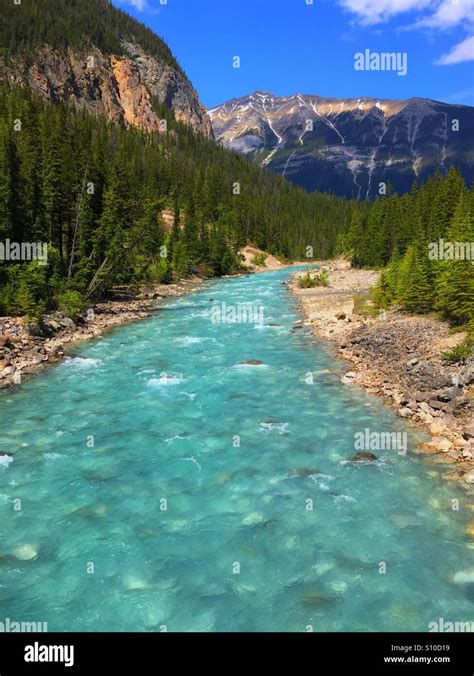 Yoho River in Yoho National Park, BC. Canada Stock Photo - Alamy