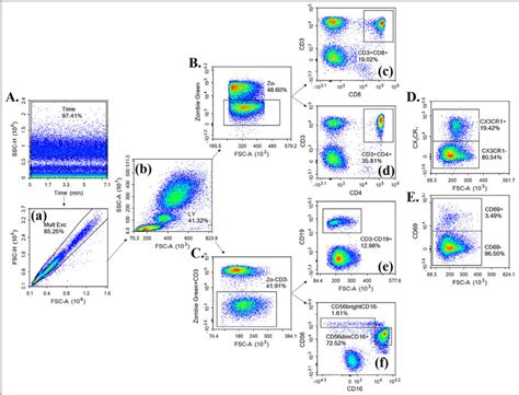 Flow cytometry gating procedure. | Download Scientific Diagram