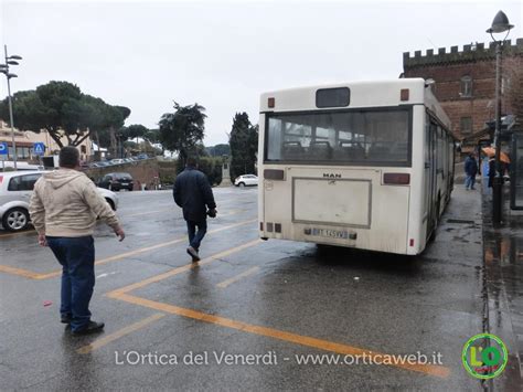 Cerveteri Autista Del Bus Picchiato In Centro Indagano I Carabinieri