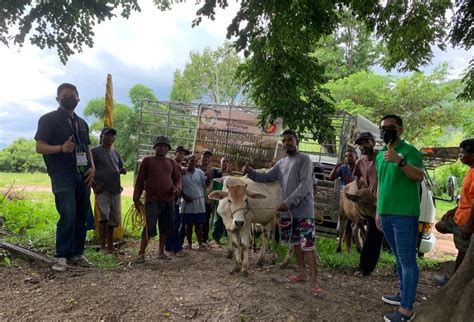 Ncip Da Namahagi Ng Tulong Pangkabuhayan Sa Mga Katutubo Sa Porac Punto Central Luzon