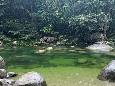 Mossman Gorge Port Douglas 2022 Qué Saber Antes De Ir Lo Más