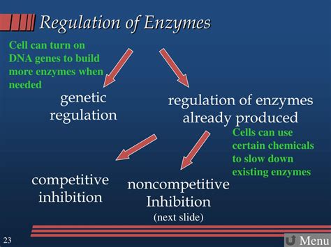 enzymes notes  enzyme substrate complexes  factors